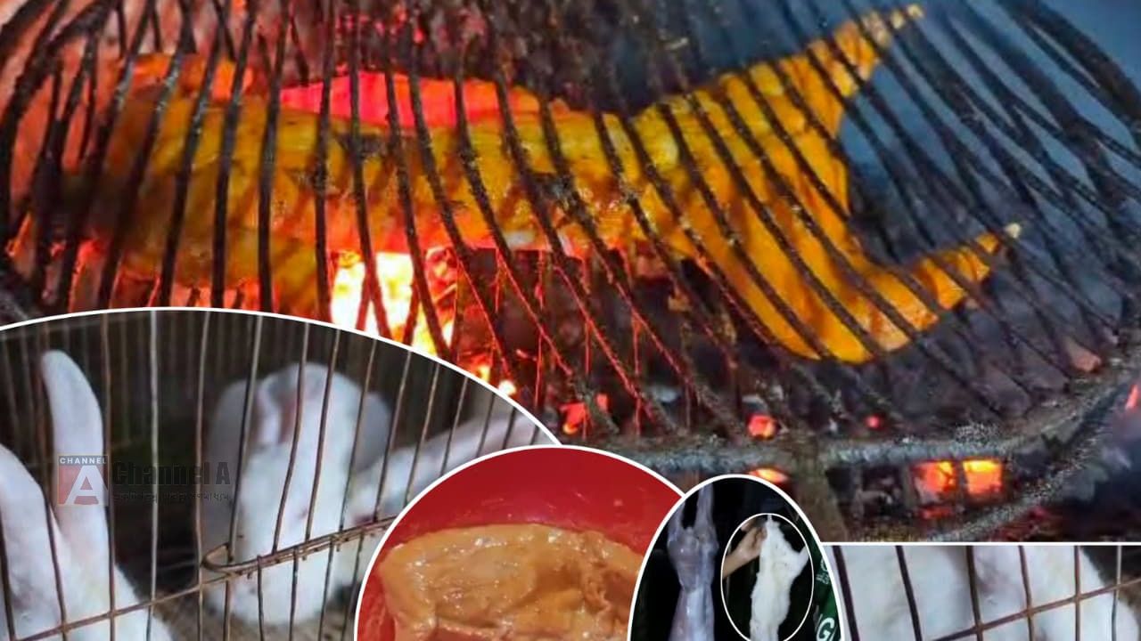 কুয়াকাটায় দুই তরুণের ব্যতিক্রমী উদ্যোগ: খরগোশের বারবিকিউয়ে চমক