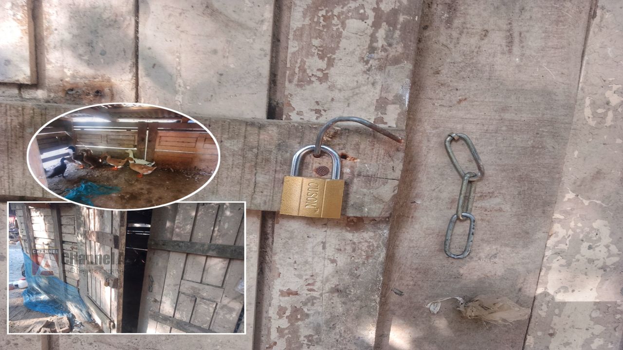 সাবেক চেয়ারম্যানের বাড়িতে চোরের তাণ্ডব, এলাকাবাসীর মধ্যে আতঙ্ক 