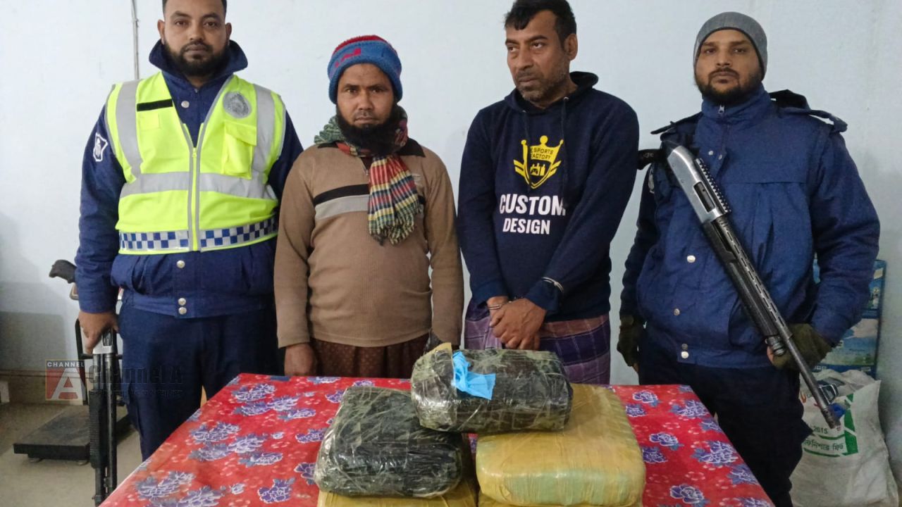 কসবায় থানা পুলিশের অভিযানে ৫০ কেজি গাঁজাসহ দুই মাদক কারবারি গ্রেফতার
