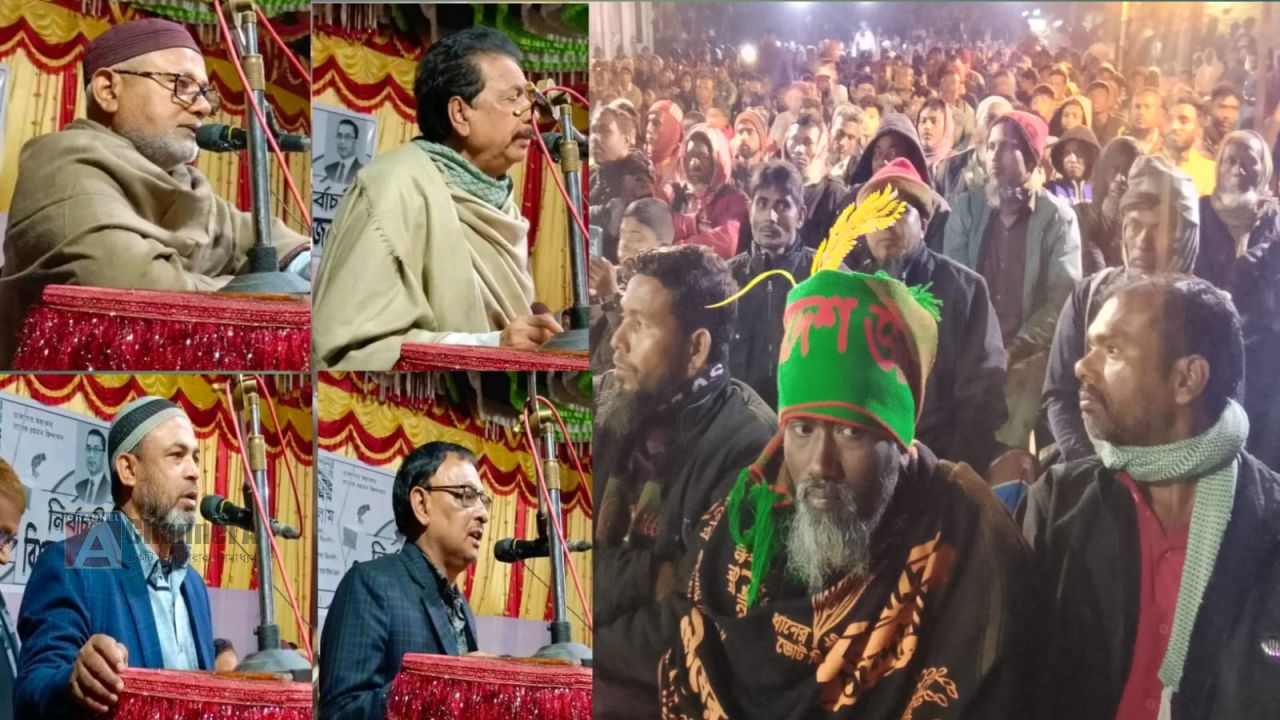 ধানের শীষের পক্ষে বীরগঞ্জে গণজোয়ার, তিন ইউনিয়নে একযোগে বিএনপির জনসভা