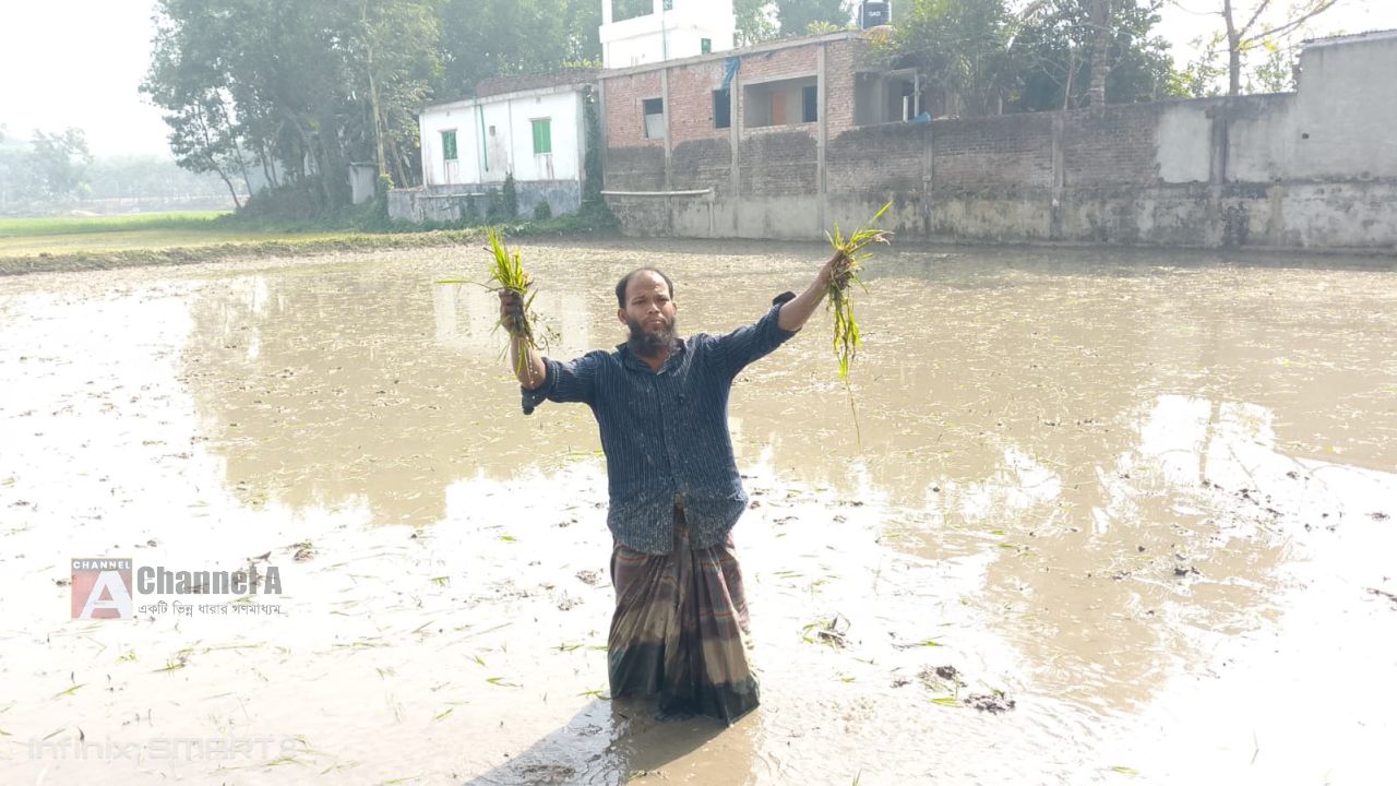 কসবায় কৃষকের জমিতে রাতের আধারে দুর্বৃত্তের হামলা