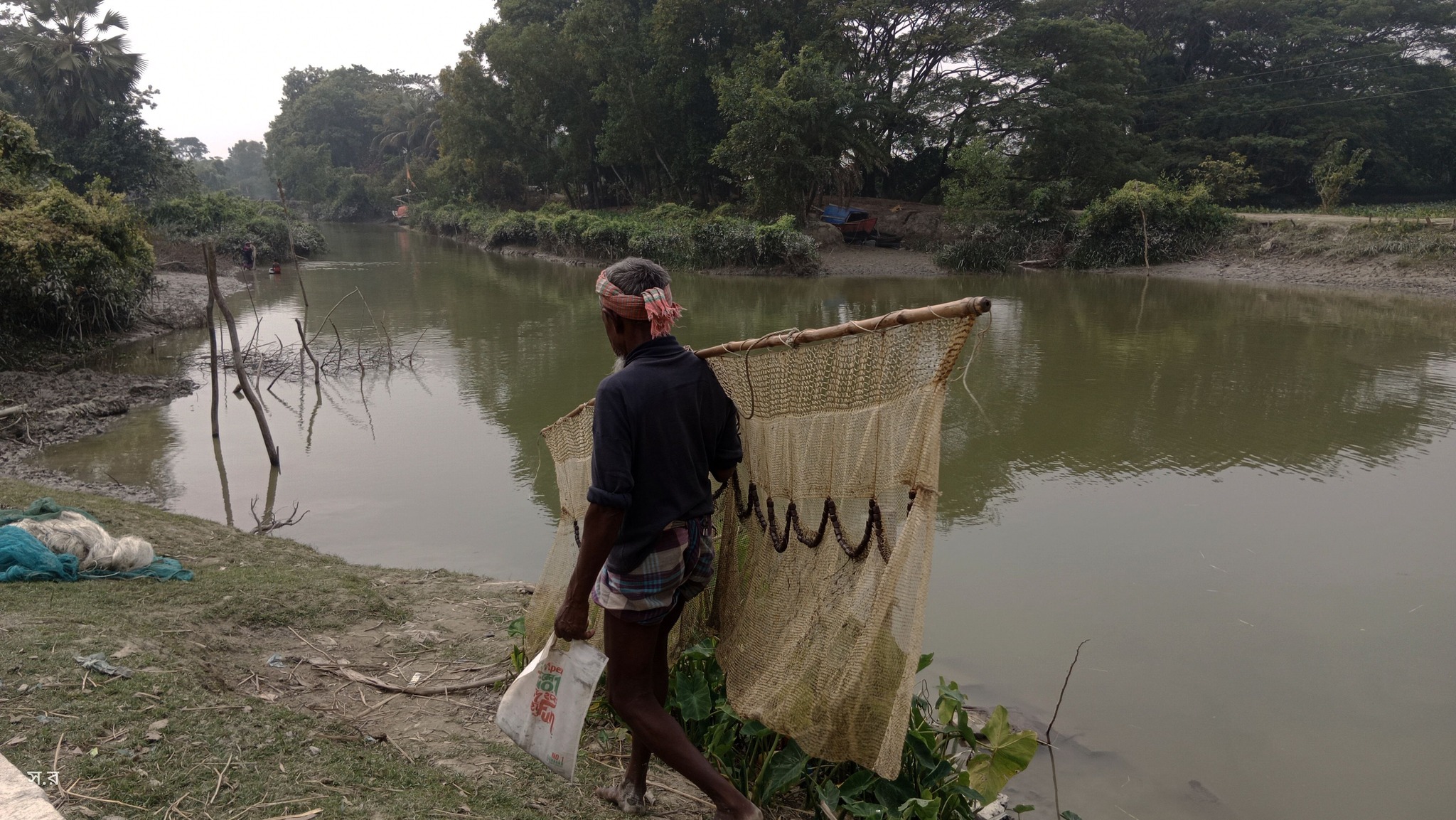 'সোনালী রং মেখে পাখিরা যায় নীড়ে